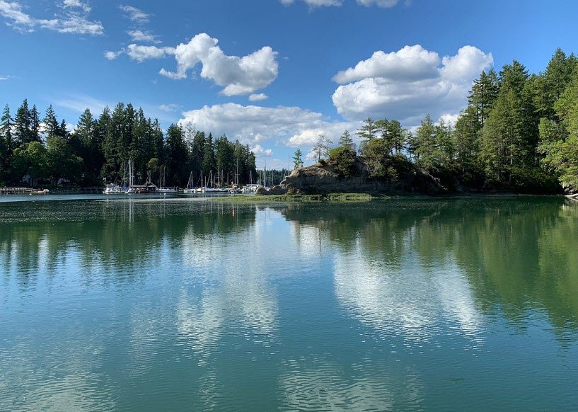 Jarrell Cove State Park, Washington, USA